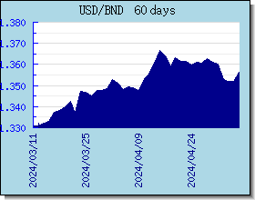 BND kursy walut wykres i wykres